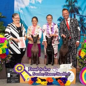 Meet your Posher, Teresa